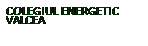 Cuadro de texto: COLEGIUL ENERGETIC 
VALCEA
